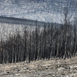 Zgarište u Žrnovnici