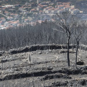 Zgarište u Žrnovnici