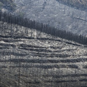 Zgarište u Žrnovnici