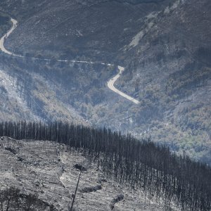 Zgarište u Žrnovnici