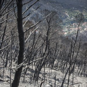 Zgarište u Žrnovnici