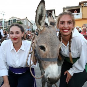 50. jubilarna trka