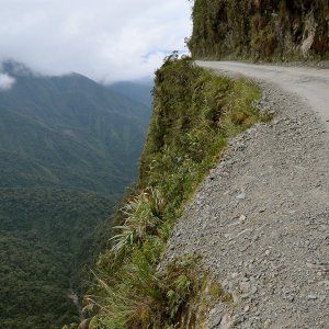 El camino a Los Yungas