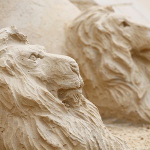 Detalji najvišeg pješčanog dvorca na svijetu (8)