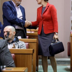 Irena Petrijavčanin Vuksanović