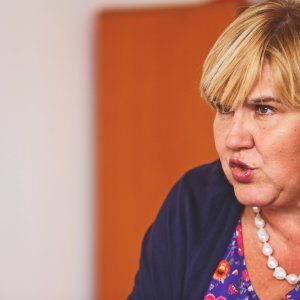 Željka Markić, U ime obitelji, pismo Vladi 4. prosinca