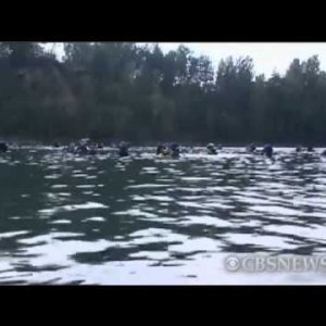 Najmasovnije podvodno vjenčanje