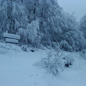 Snijeg na Zavižanu