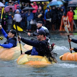 Regata divovskih bundeva