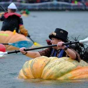 Regata divovskih bundeva