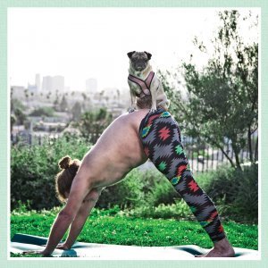 Pug Yoga kalendar 2018.