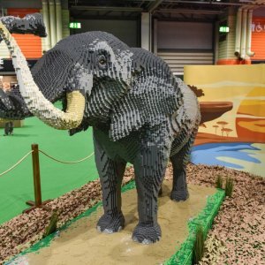 Carstvo Lego divljine