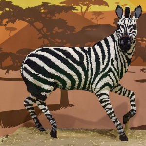 Zebra Zelma