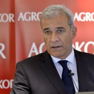 Ante Ramljak, Agrokor