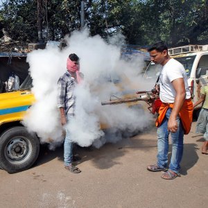 Borba protiv denga groznice u Indiji