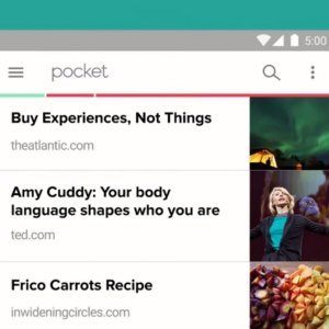 Pocket