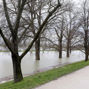 Visok vodostaj Save zbog padalina i otapanja snijega