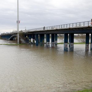 Visok vodostaj Save zbog padalina i otapanja snijega