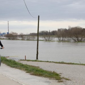 Visok vodostaj Save zbog padalina i otapanja snijega