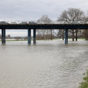 Visok vodostaj Save zbog padalina i otapanja snijega