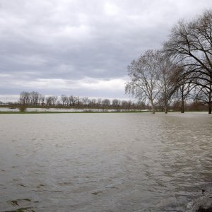 Visok vodostaj Save zbog padalina i otapanja snijega