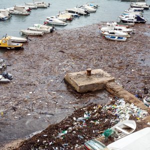 Nanosi smeća na plaži Banje u Dubrovniku