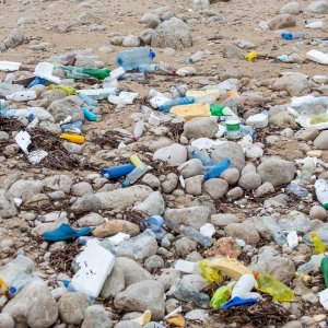 Nanosi smeća na plaži Banje u Dubrovniku