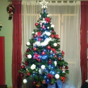 Božićna drvca tportalovih čitatelja (Marija Marincel)