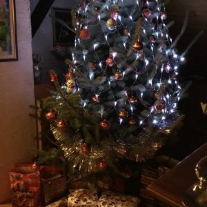 Božićna drvca tportalovih čitatelja (Nada Kozić )