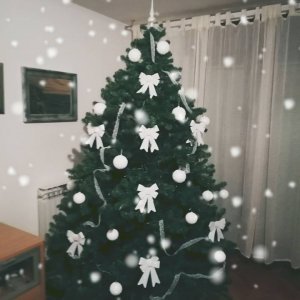 Božićna drvca tportalovih čitatelja (Vlatka Kaurin Lončar)
