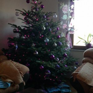 Božićna drvca tportalovih čitatelja (Adriana Popadić Budimir)