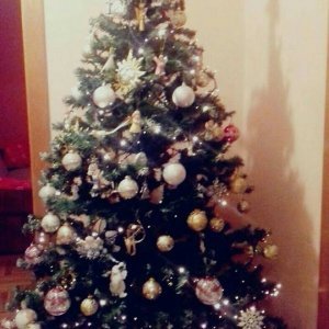 Božićna drvca tportalovih čitatelja (Irena Ćulibrk)