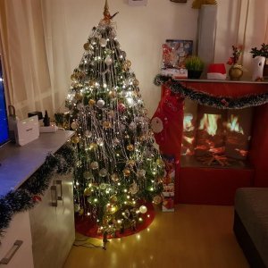 Božićna drvca tportalovih čitatelja (Ivana Jurić)