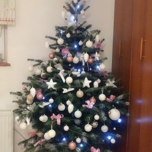 Božićna drvca tportalovih čitatelja (Ivana Veselić)
