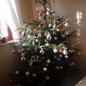 Božićna drvca tportalovih čitatelja (Mateja Grgurić)