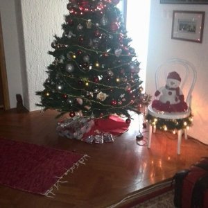 Božićna drvca tportalovih čitatelja (Vesna Veki Kralj)