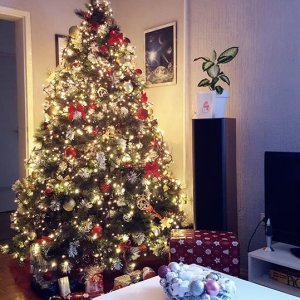 Božićna drvca tportalovih čitatelja (Ivana Hanzlić)