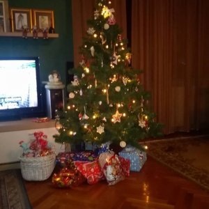 Božićna drvca tportalovih čitatelja (Vesna Ivančević)