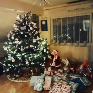 Božićna drvca tportalovih čitatelja (Maja Trdak)