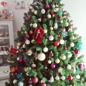 Božićna drvca tportalovih čitatelja (Andrea Dado)