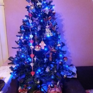 Božićna drvca tportalovih čitatelja (Aleksandra Medić)