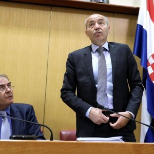 Damir Krstičević tijekom rasprave o Konačnom prijedlogu zakona o sustavu domovinske sigurnosti