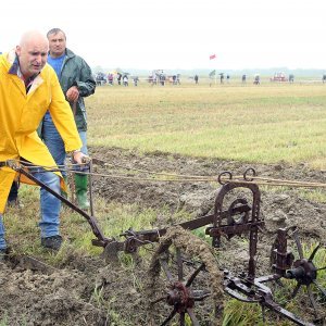 Ministar poljoprivrede Tomislav Tolušić na natjecanju u oranju u Kupinečkom Kraljevcu
