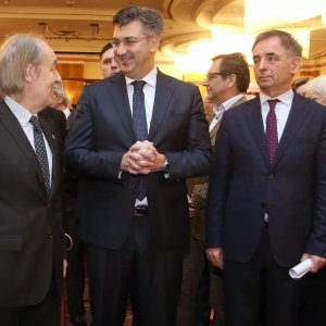 Furio Radin, Andrej Plenković, Milorad Pupovac