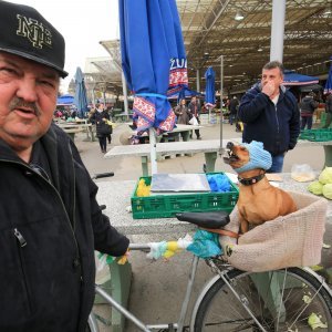 Roko i njegova kapica