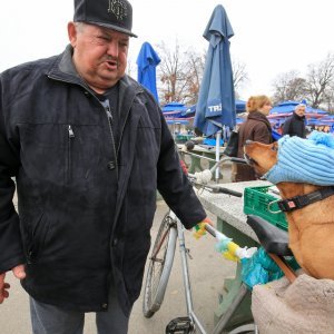 Roko i njegova kapica