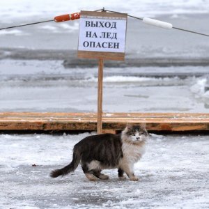 Kupanje u ledenoj vodi povodom Bogojavljenja - Bjelorusija