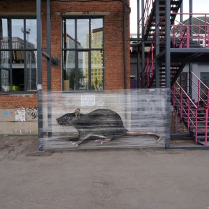 Grafiti Evgenyja Chesa