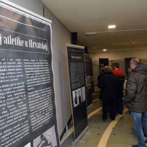 Jasenovac: Davor Bernardić razgledao izložbu o Borisu Hanžekoviću