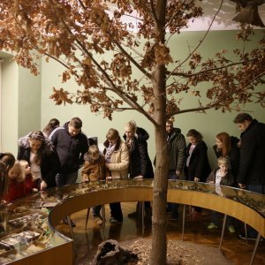 Varaždin: Varaždinci obišli gradske muzeje i galerije